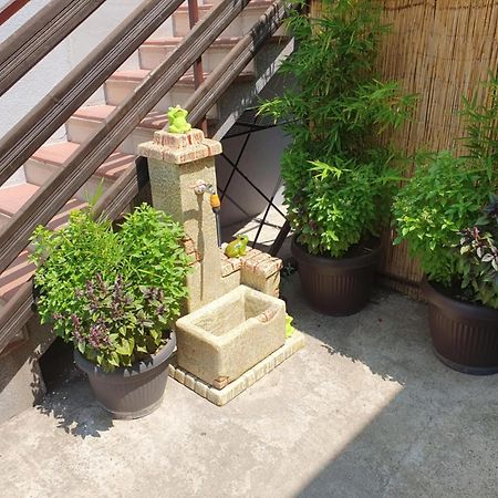 Apartman Djokic 2 Požarevac Exterior foto