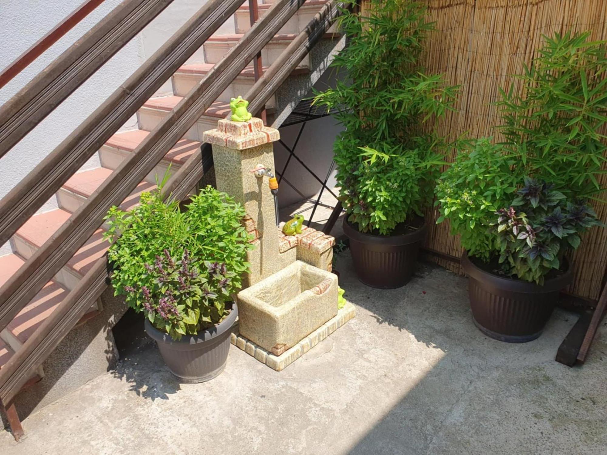 Apartman Djokic 2 Požarevac Exterior foto